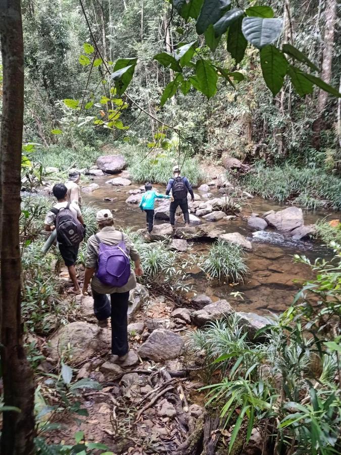 Bee Bee'S Chalets Home Stay And Trekking Banlung Экстерьер фото