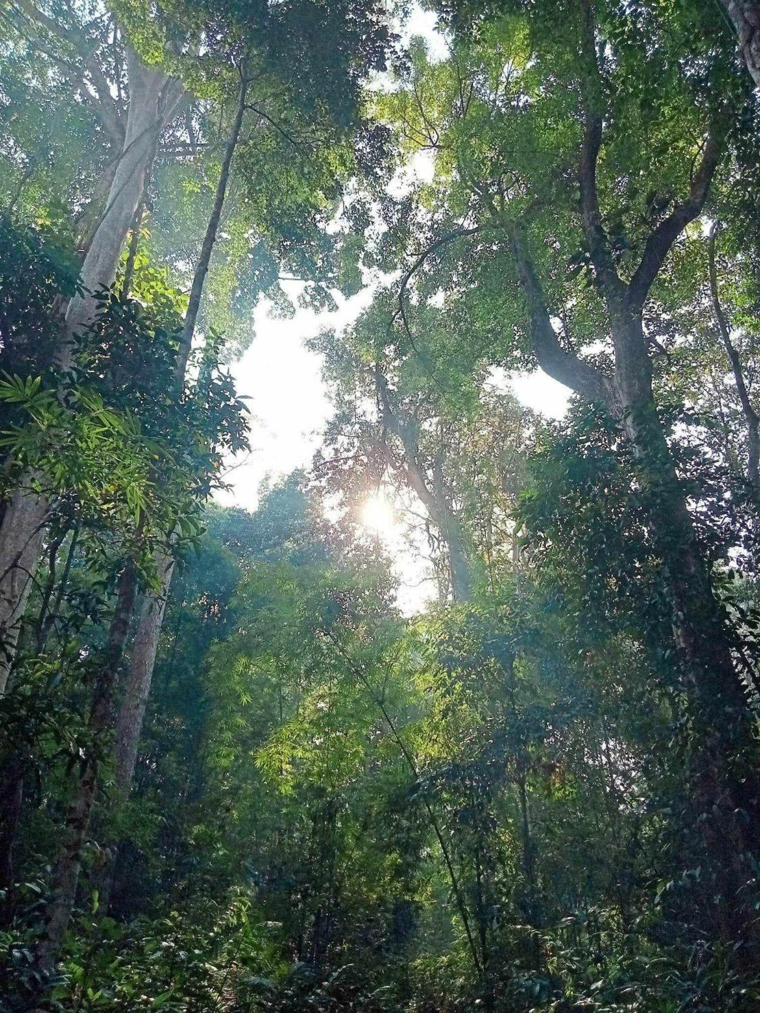 Bee Bee'S Chalets Home Stay And Trekking Banlung Экстерьер фото