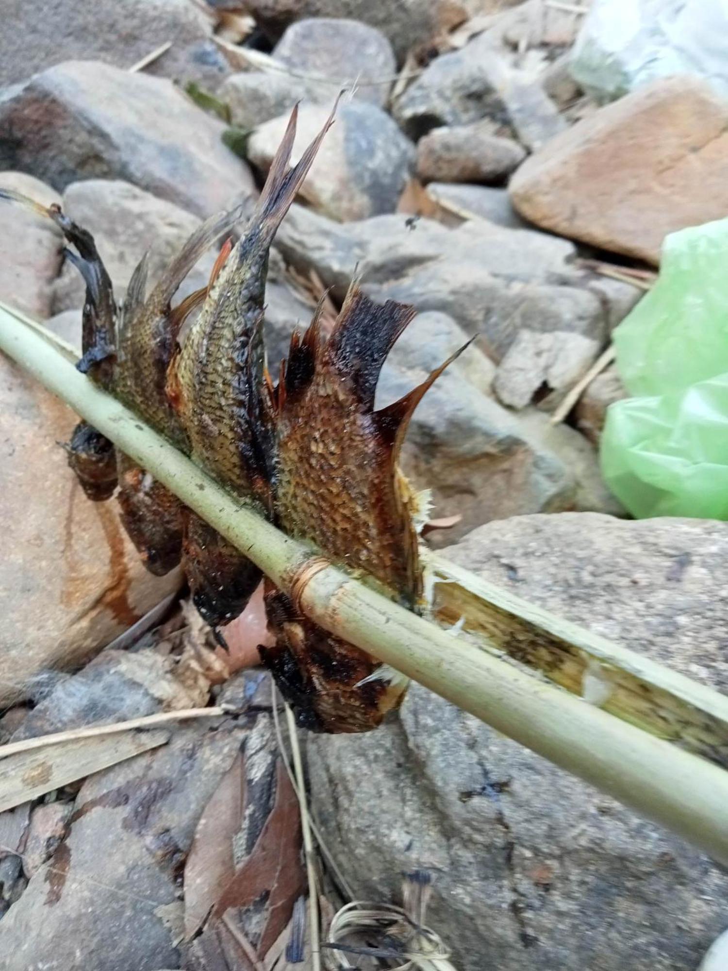 Bee Bee'S Chalets Home Stay And Trekking Banlung Экстерьер фото